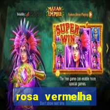 rosa vermelha (letra e cifra)